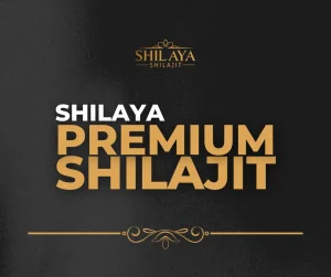 Shilaya Premium: Nejsilnější shilajit s garancí minimálně 71 % fulvokyselin